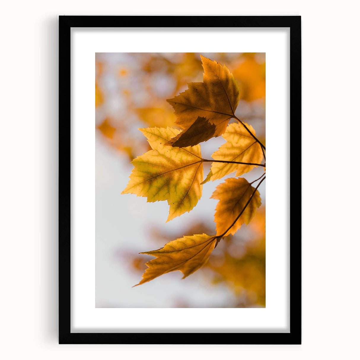 Extra large abstract art print featuring textured, colorful foliage designs on a black framed canvas.