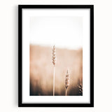 Extra large abstract art print featuring vibrant, textured colors on a framed canvas, ideal for living room decor.