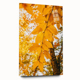 Large abstract wall art depicting vibrant autumn colors on acrylic glass, ideal for bedroom or dining room decor.