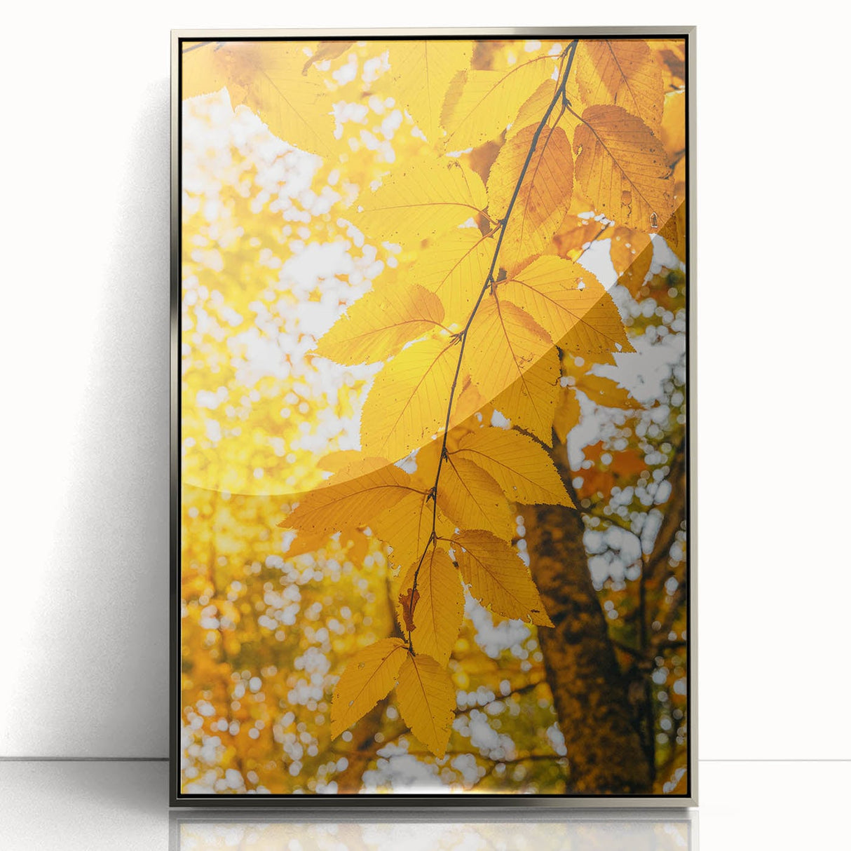 Mid-century modernist art depicting autumn trees in orange and brown tones, acrylic print in silver frame.