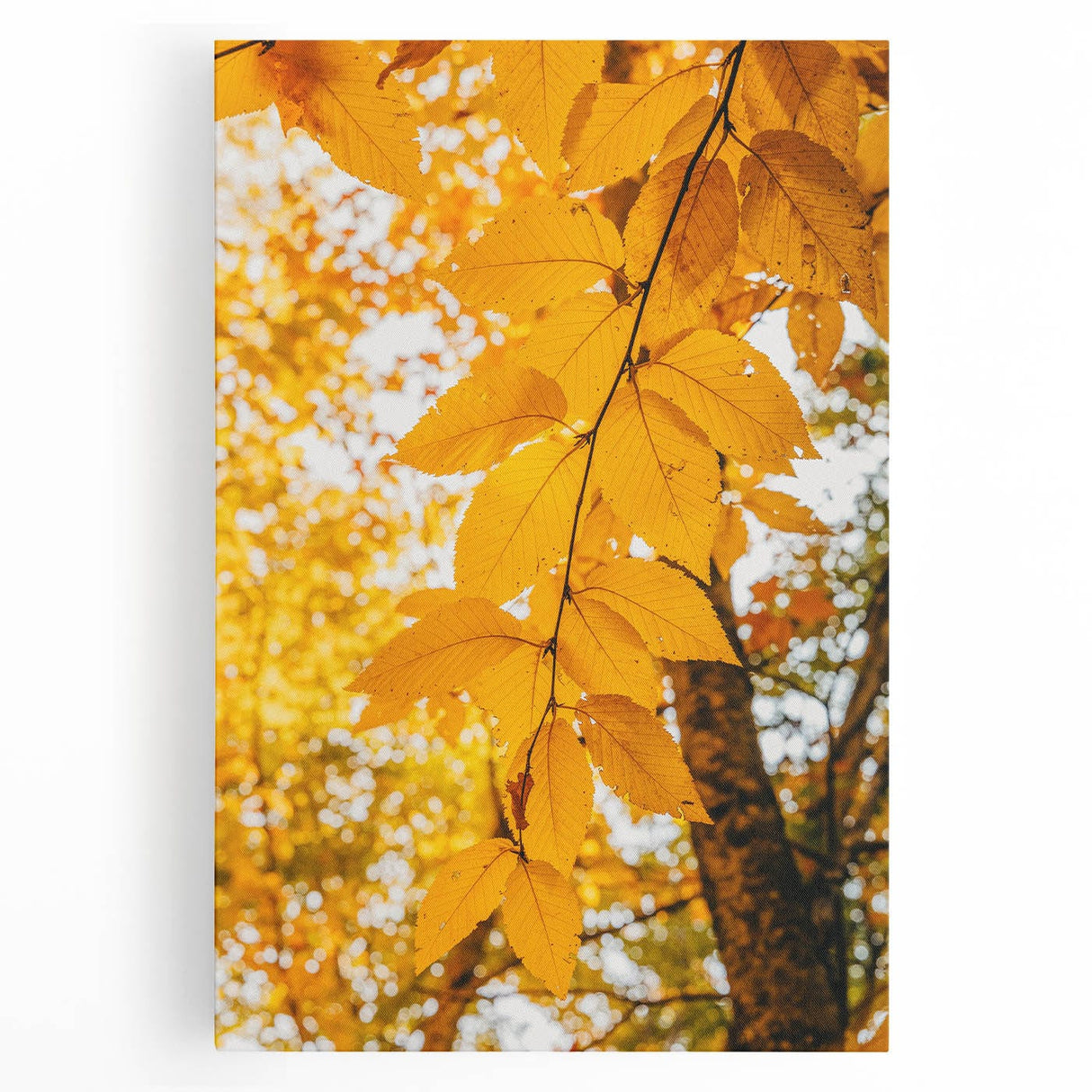 Large black and white stretched canvas featuring a minimalist fall tree design, suitable for kitchen wall art.