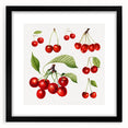 Extra large abstract art print featuring vibrant, textured fruit designs in a black frame, ideal for living room decor.