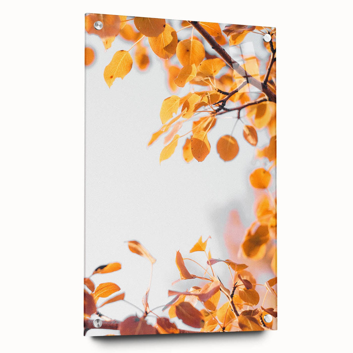 Large abstract wall art depicting autumnal trees in rich orange and red hues on acrylic glass.