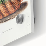 Romantic Era Art: Golden Barrel Cactus Botanical Illustration Print