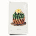 Romantic Era Art: Golden Barrel Cactus Botanical Illustration Print