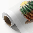 Romantic Era Art: Golden Barrel Cactus Botanical Illustration Print