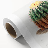 Romantic Era Art: Golden Barrel Cactus Botanical Illustration Print