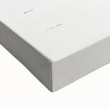 Romantic Era Art: Golden Barrel Cactus Botanical Illustration Print