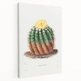 Romantic Era Art: Golden Barrel Cactus Botanical Illustration Print
