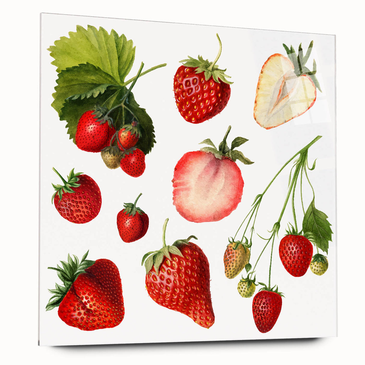 Large abstract wall art featuring an array of fruits in vibrant colors on acrylic glass.