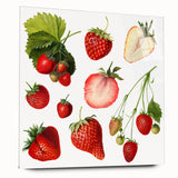 Large abstract wall art featuring an array of fruits in vibrant colors on acrylic glass.