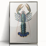 Romantic Era Art: Blue Lobster Illustration by Charles Dessalines d’Orbigny