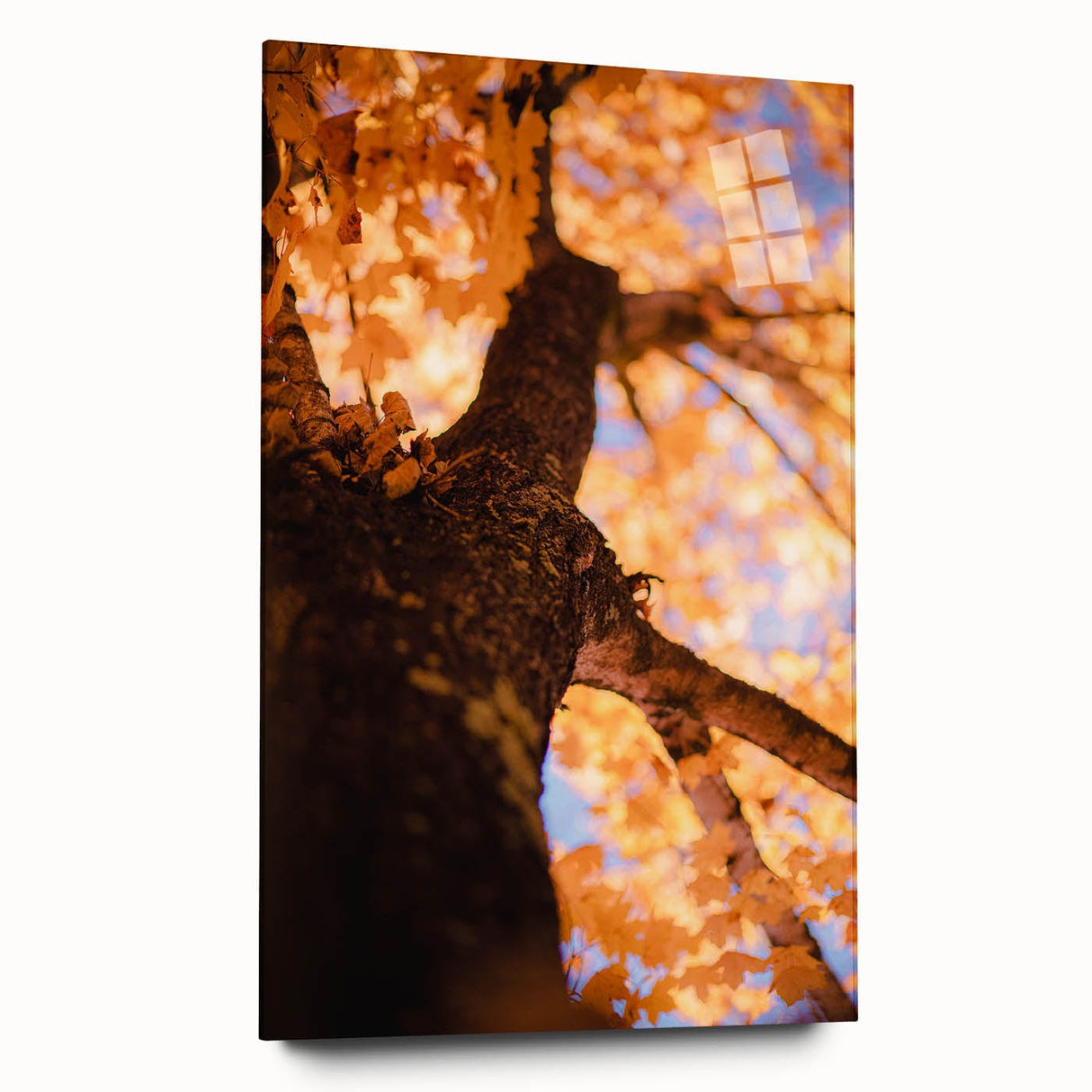Large abstract wall art in autumnal hues on acrylic glass, ideal for bedroom or dining room decor.