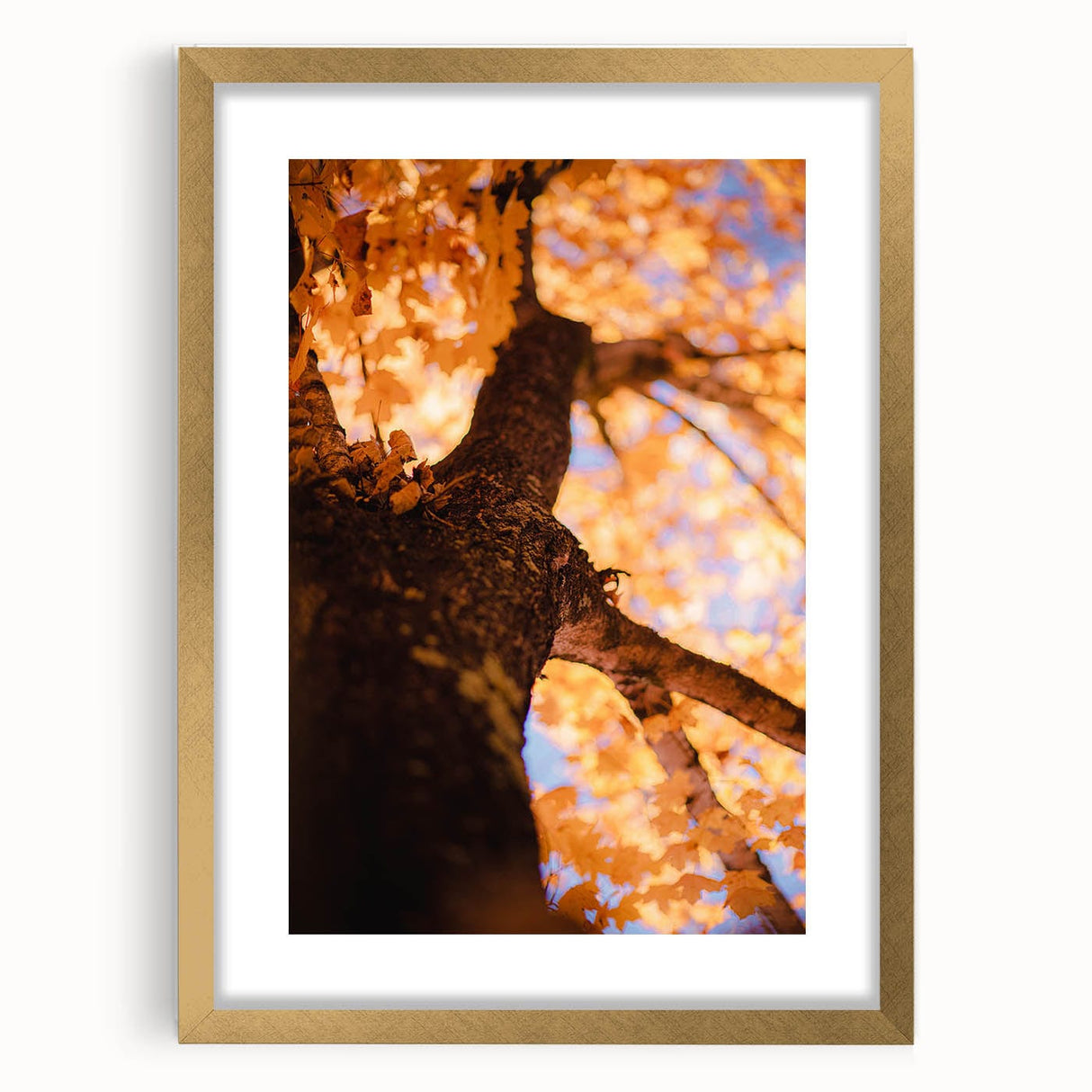 Extra large abstract art print featuring textured autumnal hues on a gold-framed canvas, ideal for living room decor.
