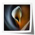 Abstract floral wall art print showcasing vibrant colors and intricate designs, displayed in a glossy finish, perfect for modern home decor.