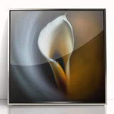 Framed abstract floral wall art in silver acrylic showcasing vibrant colors and intricate designs, perfect for modern home decor. Ideal for enhancing living spaces.
