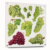 Acrylic print of large abstract fruit motifs in vibrant colors, ideal for dining room decor.