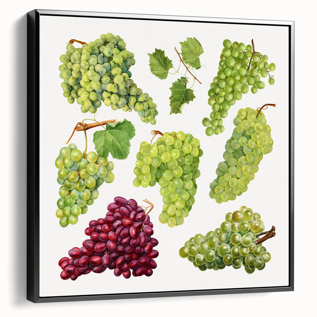 Black and white vintage poster art of assorted fruits on framed canvas, ideal for bedroom wall decor.