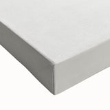 Romantic Era Art: Fish Illustrations by Charles Dessalines d’Orbigny