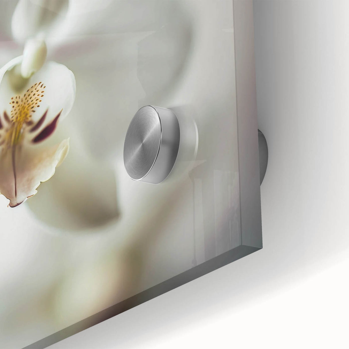 Close-up of vibrant abstract floral wall art on acrylic glass, showcasing intricate patterns and rich colors, ideal for modern home decor accents.