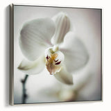Framed abstract floral wall art in silver tones, showcasing intricate designs and a modern aesthetic. Perfect for enhancing contemporary home decor.