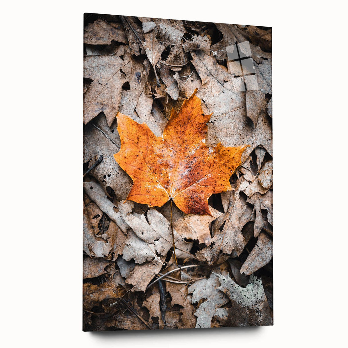 Large abstract wall art on acrylic glass depicting swirling autumn hues, ideal for bedroom or dining room decor.