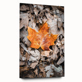 Large abstract wall art on acrylic glass depicting swirling autumn hues, ideal for bedroom or dining room decor.