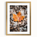 Extra large abstract art print featuring textured swirls in autumn hues on a gold-framed canvas, ideal for living room decor.