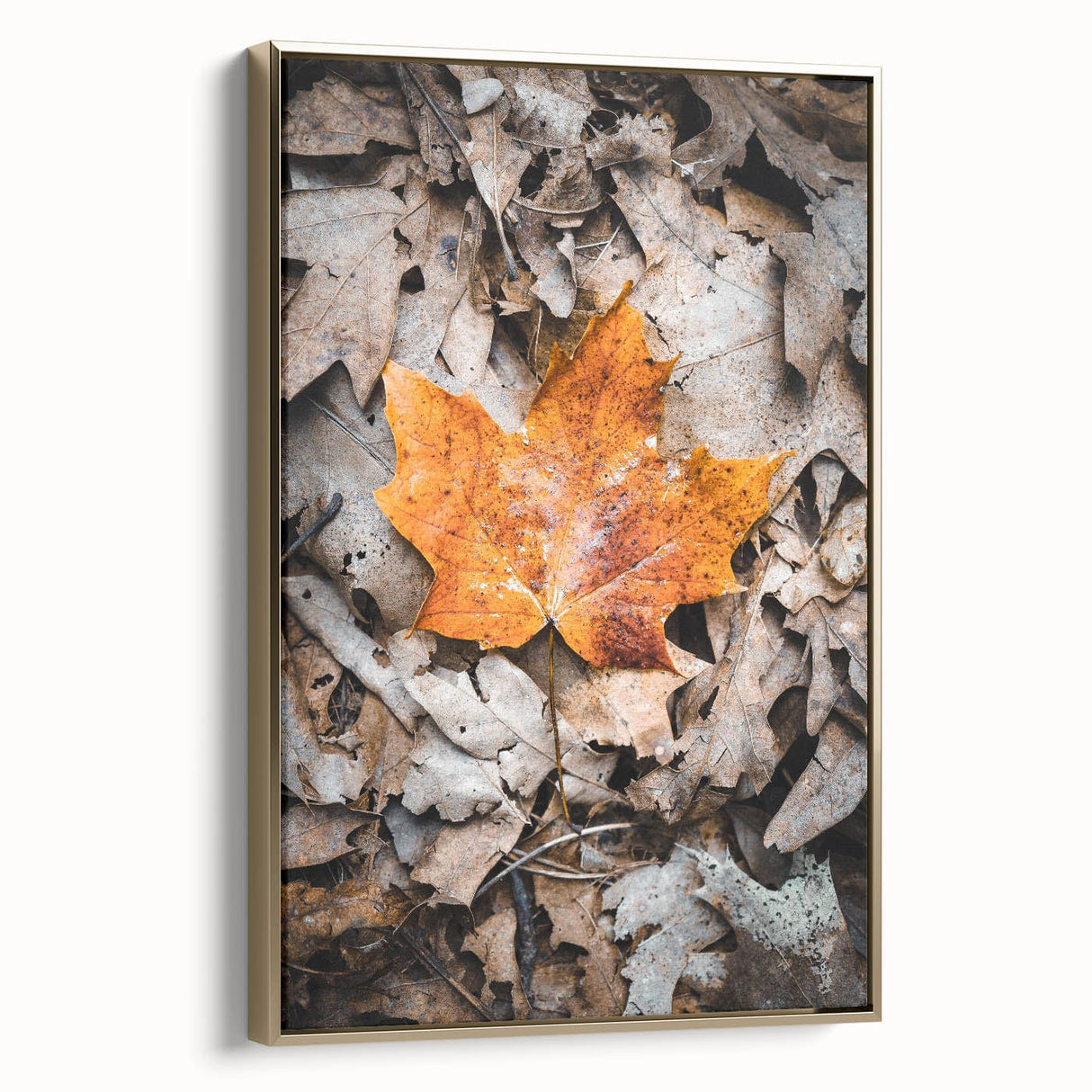 Framed canvas of a vintage-style landscape painting featuring autumn trees in gold and black tones.