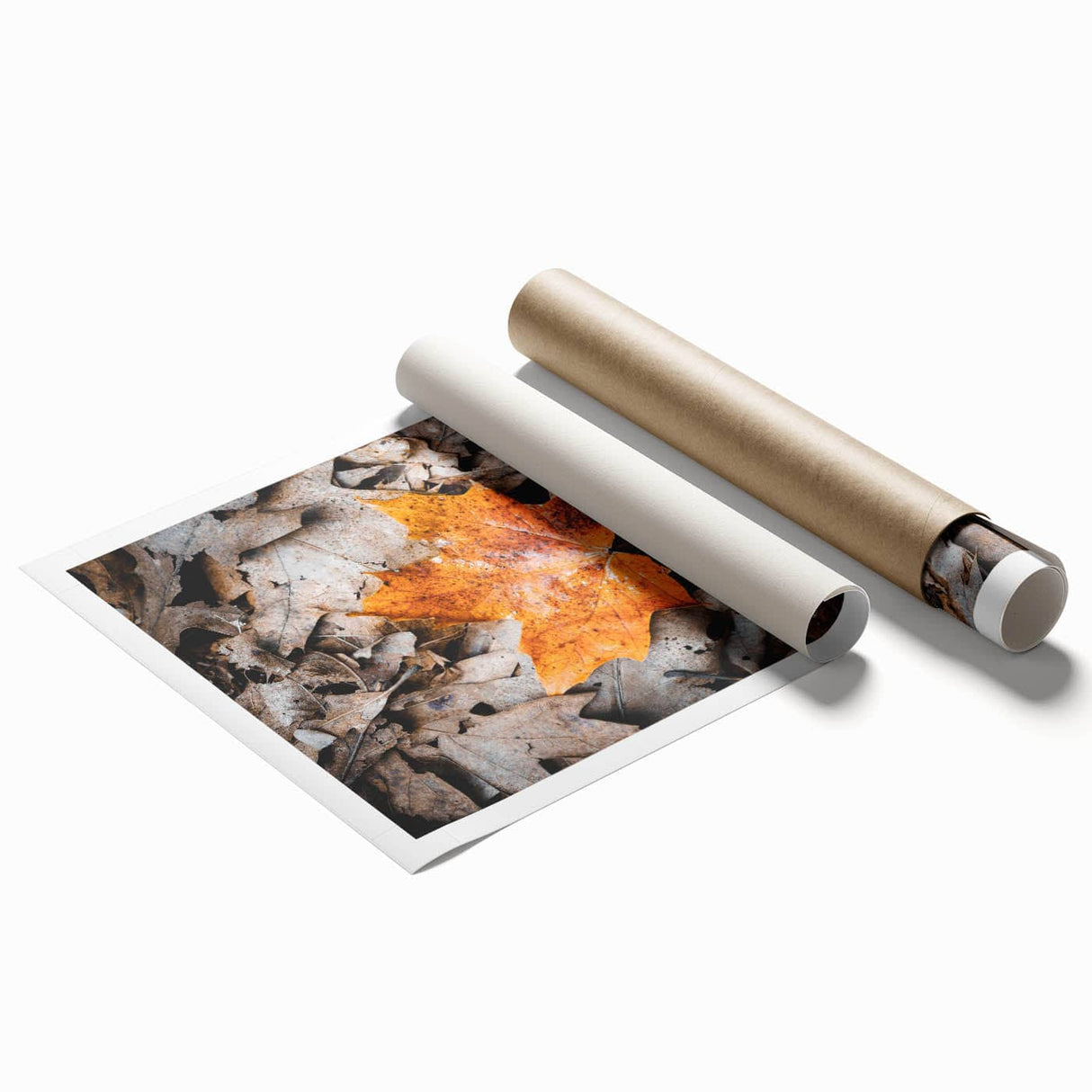 Extra large rolled print featuring autumnal floral art in muted orange and brown tones, ideal for classy bathroom wall art.
