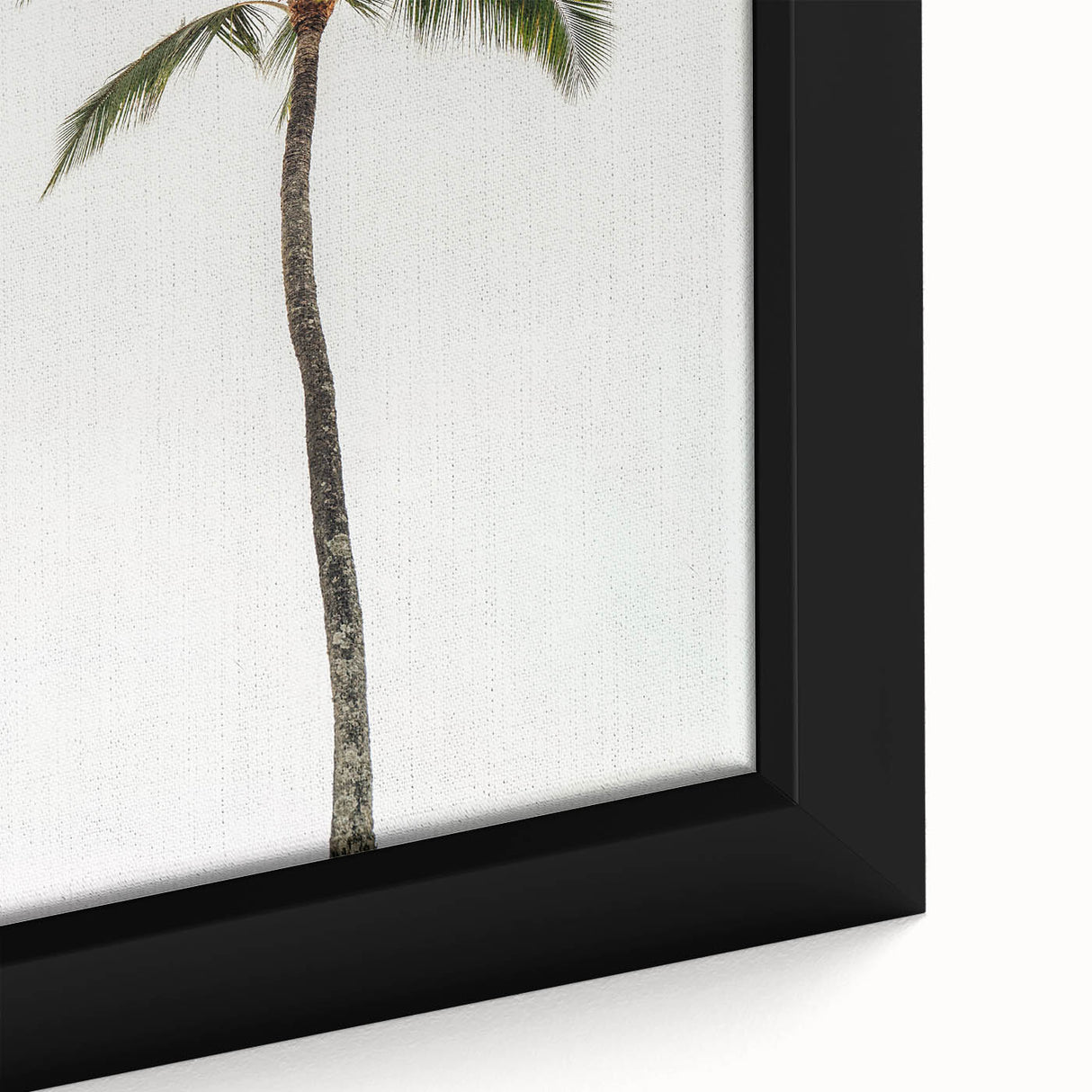 Extra large framed canvas featuring a black textured background with vibrant, colorful abstract shapes.