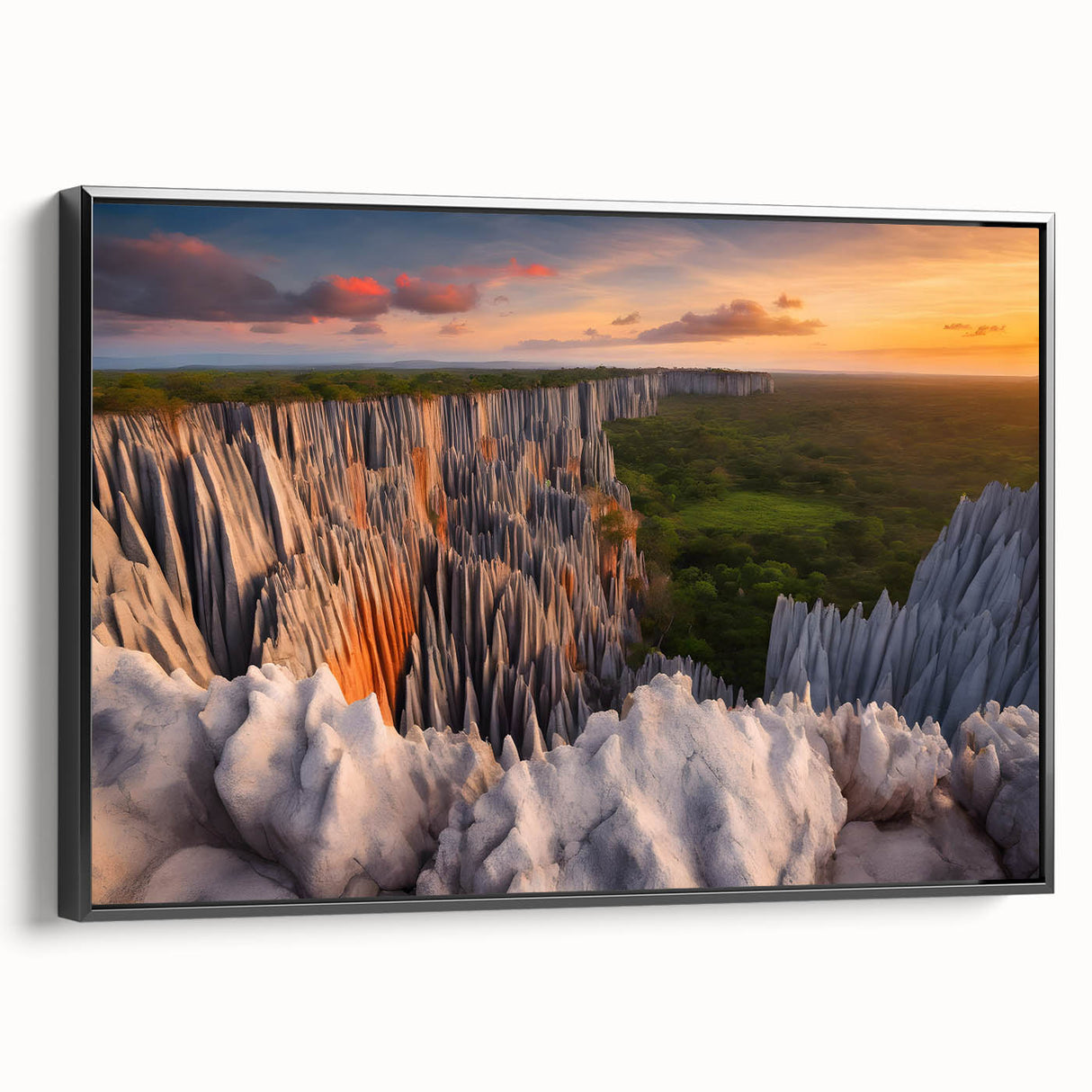 Black and white landscape art painting of Madagascar on framed canvas, ideal for bedroom wall decor.