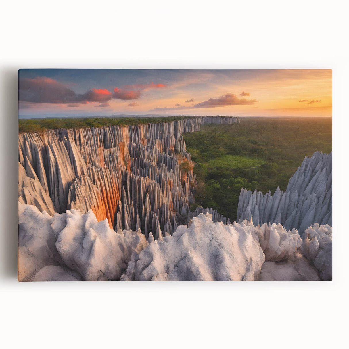 Large black and white canvas print of Madagascar scenery, ideal for kitchen wall art.