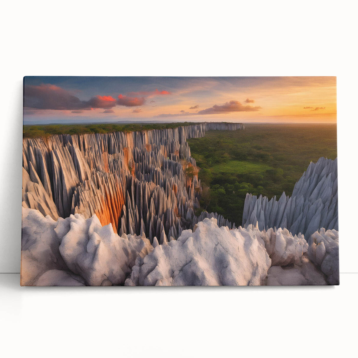 Black and white stretched canvas of Madagascar scenery, ideal for kitchen wall art or bedroom ambiance.