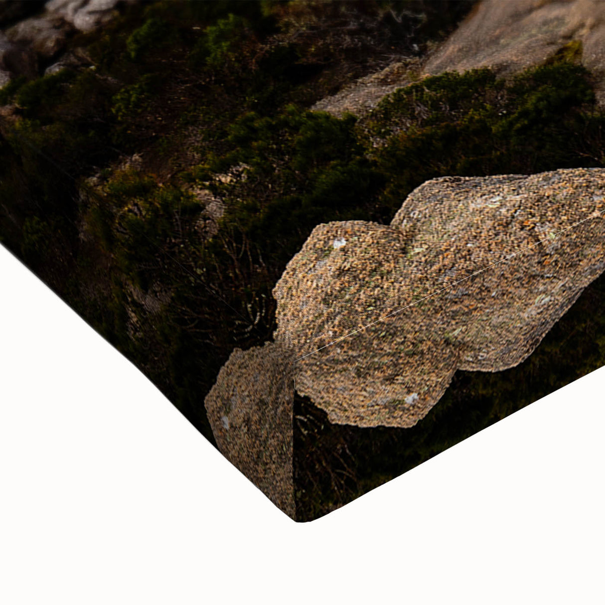 Large art of a Tasmanian landscape in black and white on stretched canvas, suitable for bedroom wall decor.