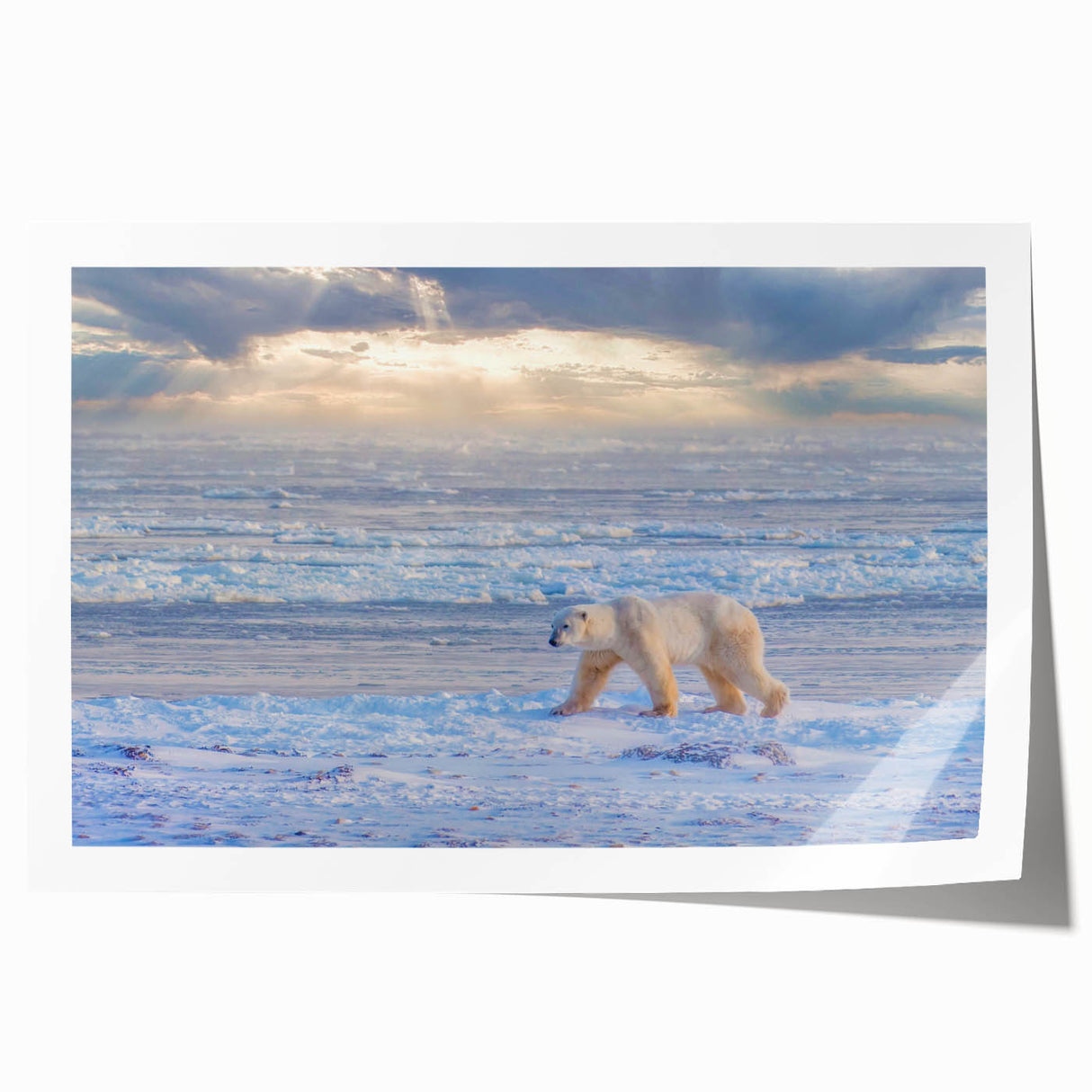 Rolled print of Canadian Manitoba scenery with muted earth tones, ideal for art wall dining room.