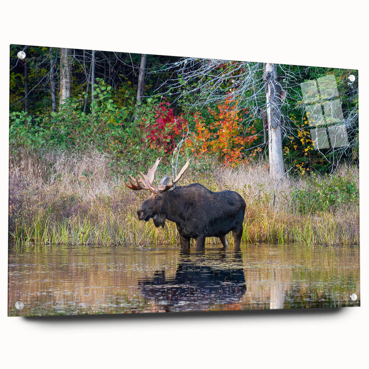 Acrylic print of a large abstract depiction of Ontario, Canada in muted earth tones, ideal for dining room decor.