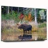 Acrylic print of a large abstract depiction of Ontario, Canada in muted earth tones, ideal for dining room decor.