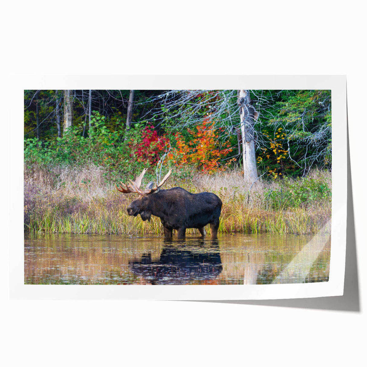 Extra large rolled print of Ontario scenery with vibrant green and blue tones, ideal for art wall dining room.