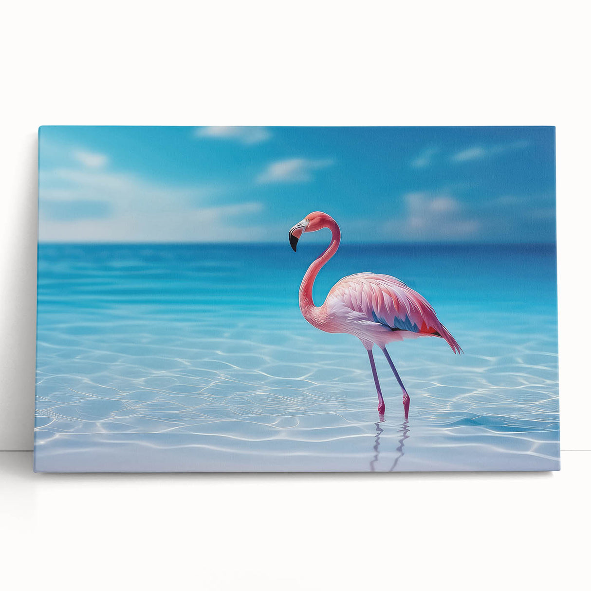 Black and white photograph of Caribbean Aruba scenery on large stretched canvas, ideal for kitchen wall art.