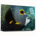Acrylic print of a Caribbean scenery with vivid blue and green tones, ideal for dining room decor.