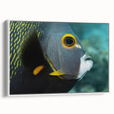 Vintage poster art of a Caribbean scenery on extra large framed canvas, featuring colorful art on a black background.