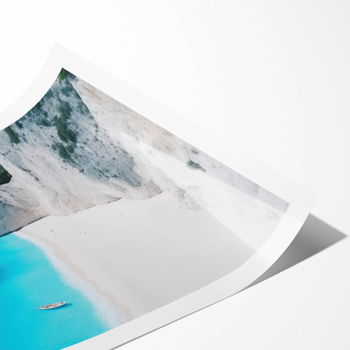 Extra large wall art featuring line art flowers over a Caribbean Virgin Islands scenery on a rolled print.