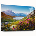 Acrylic glass print of French Alps scenery in muted earth tones, suitable for bedroom or dining room decor.