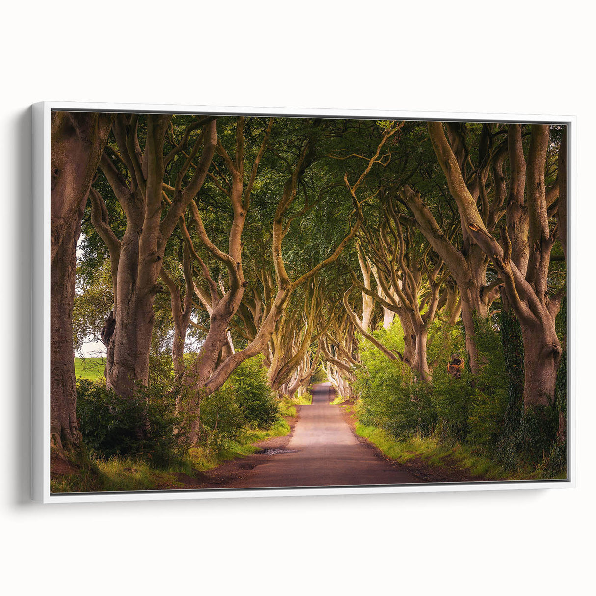 Vintage poster art featuring a scenic Ireland landscape on a framed canvas, with vibrant green tones.
