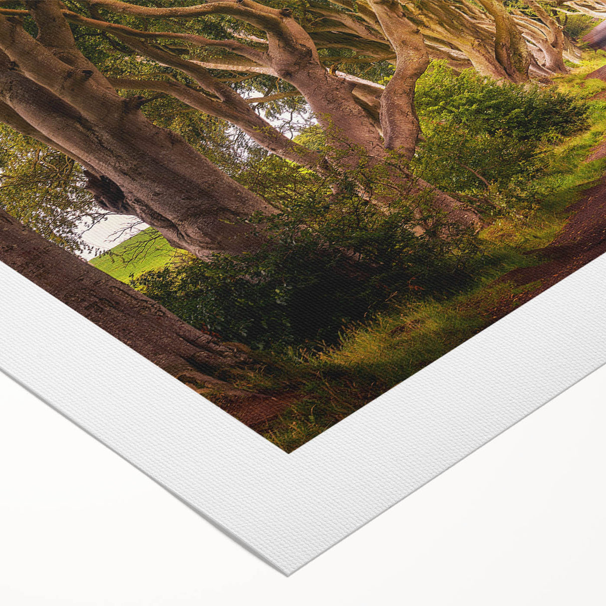 Art deco poster featuring a serene Irish landscape in muted greens and blues on rolled canvas.