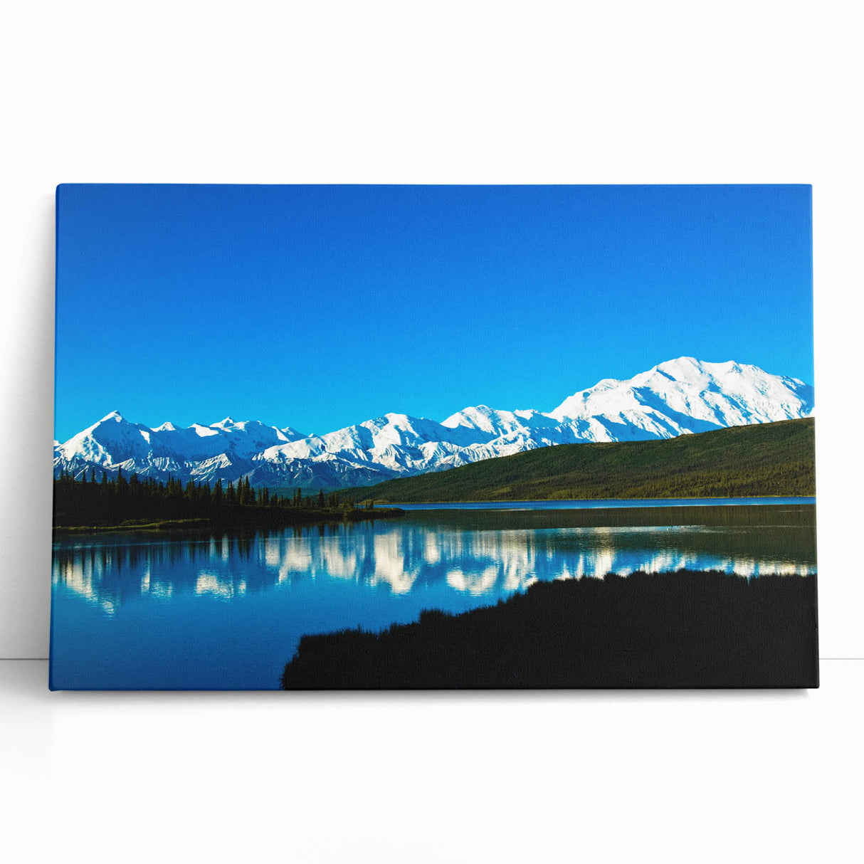Black and white stretched canvas of Denali, Alaska, ideal for kitchen wall art or bedroom ambiance.
