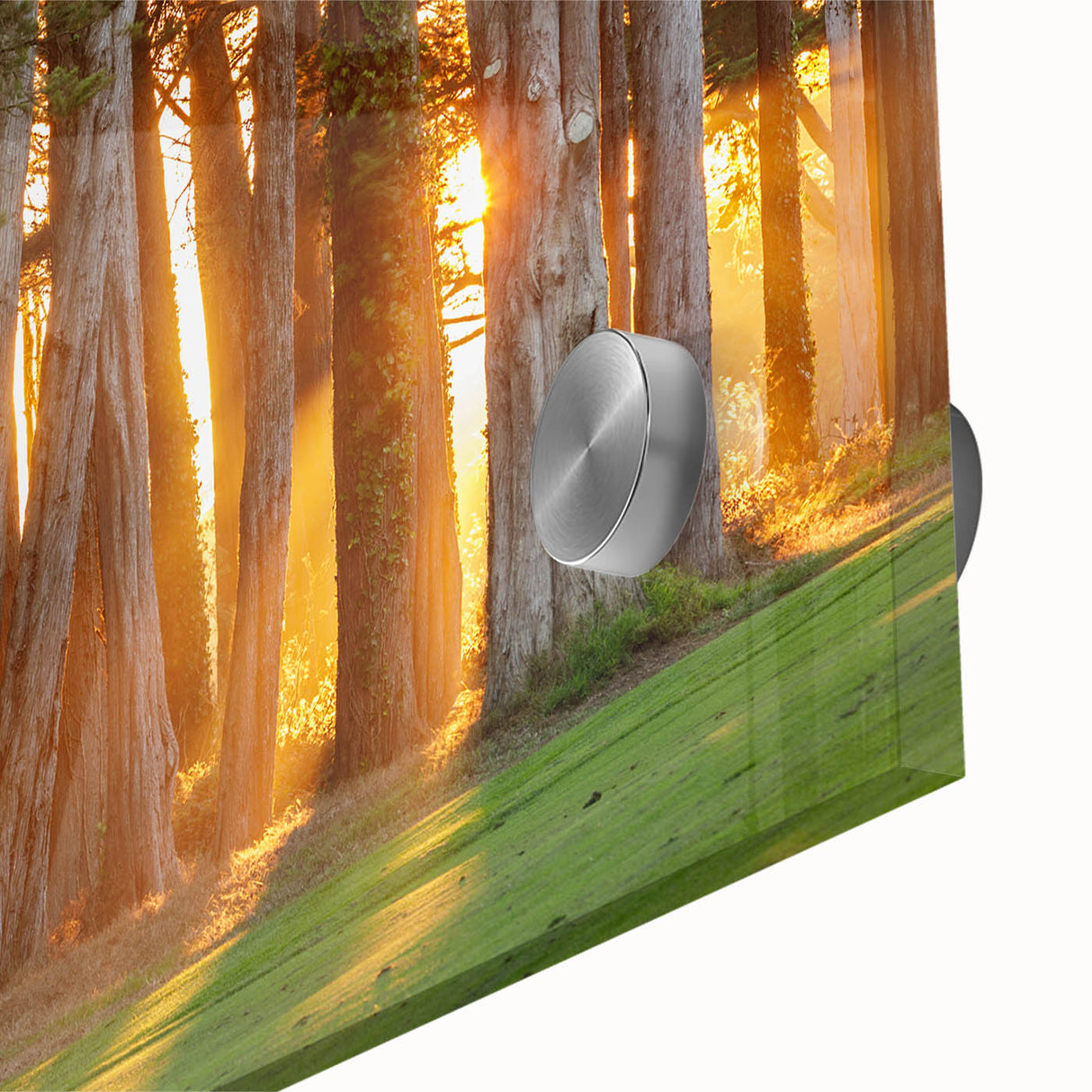 Large abstract depiction of San Francisco in muted earth tones on acrylic, ideal for dining room art.
