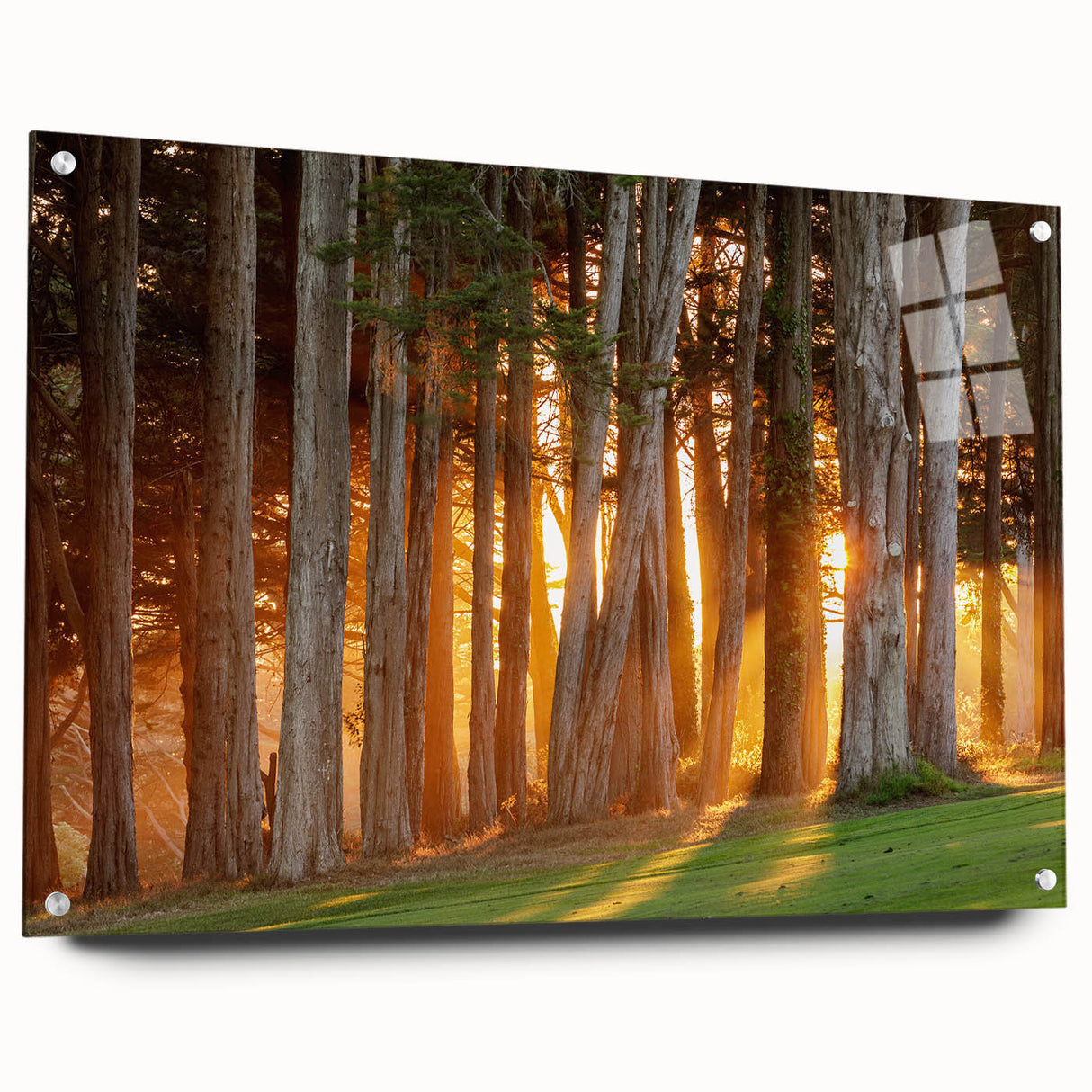 Acrylic print of San Francisco skyline in muted blue tones, suitable for bedroom or dining room decor.