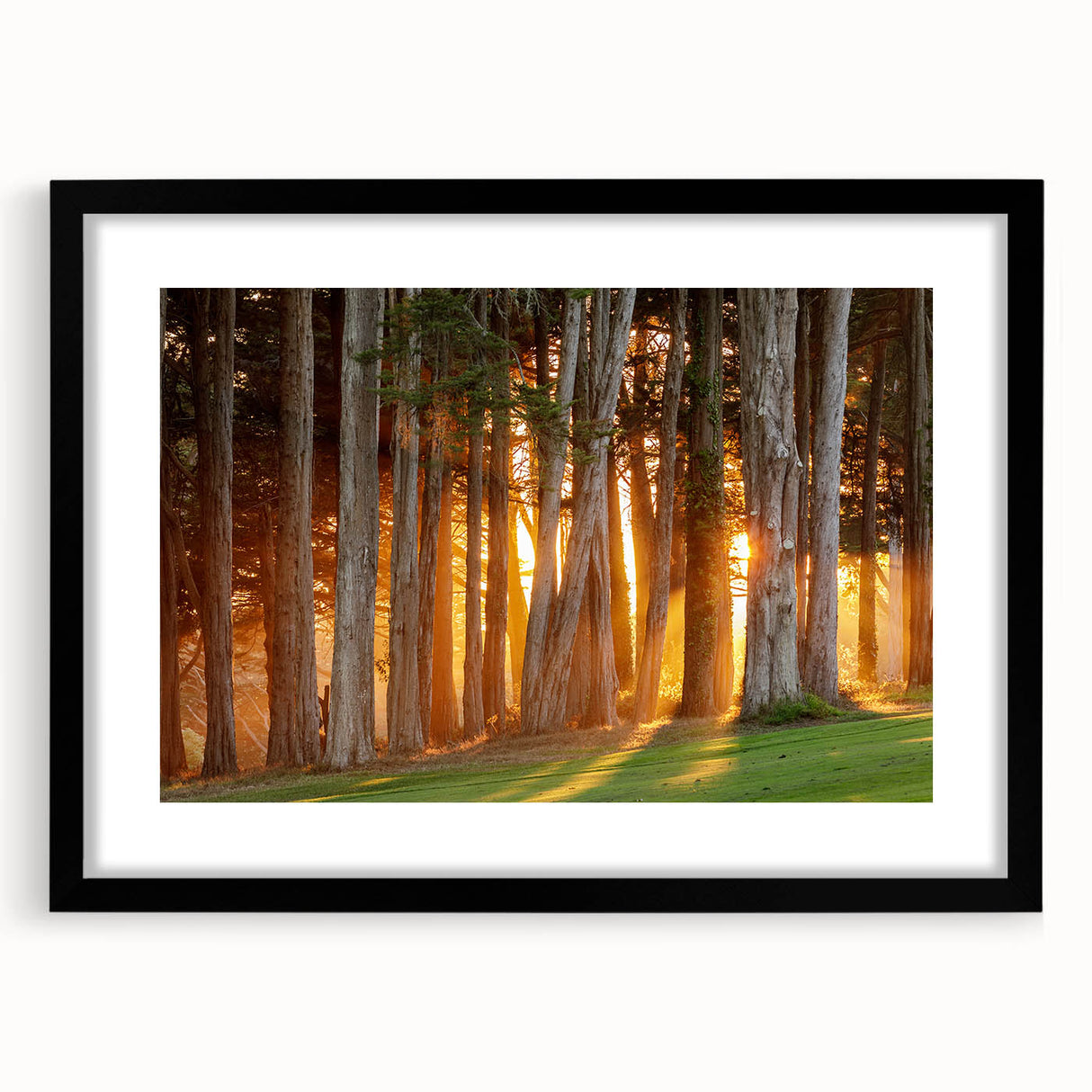 Extra large abstract art print of San Francisco in vibrant colors on a textured canvas, framed in black.